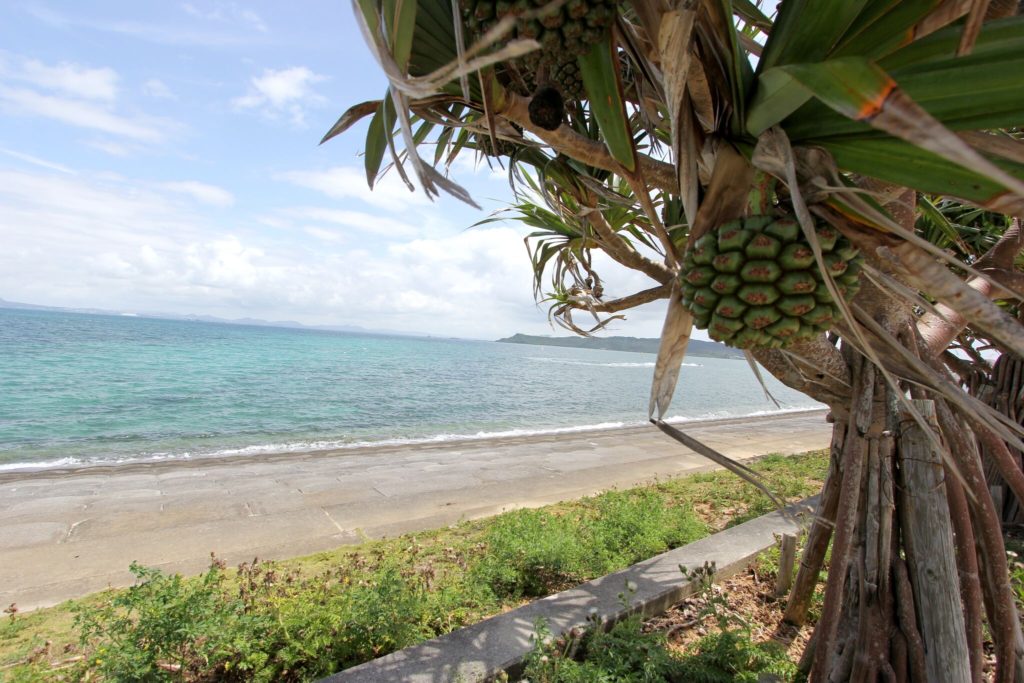 海中道路5_preview